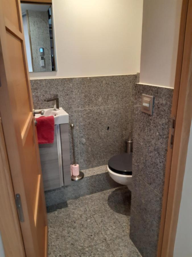 Le 3 De Coeur Annecy Apartment Ngoại thất bức ảnh